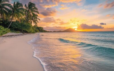 Conseils essentiels pour s’evader vers la Martinique